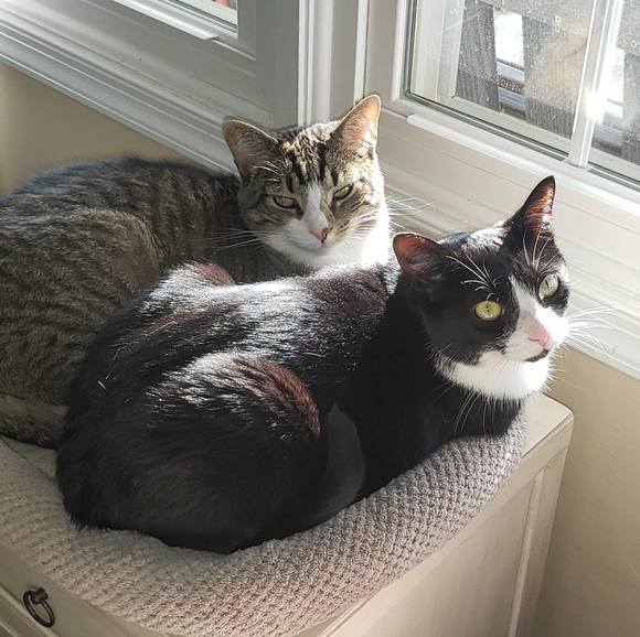 Profile Picture of Deborah Bubp (@e1re9dmb) on Poshmark