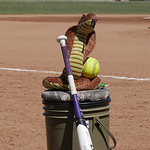 Profile Picture of Brian Walker (@Cobras2016: Photos by Darla Walker) on Flickr