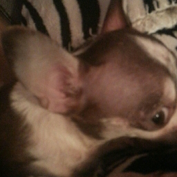 Profile Picture of Michael Barbare (@mbbarbare) on Poshmark