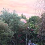 Profile Picture of John Abbott (@johnnconc55) on Instagram