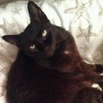 Profile Picture of Summer Renee Curry Hall (@summercurry6) on Instagram