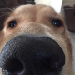 Profile Picture of Chris Decker (@@chrisdecker20) on Tiktok