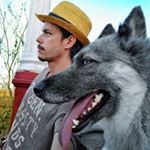 Profile Picture of Leonardo Enrique Borjas Avila (@leoestatua) on Instagram