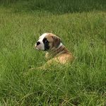 Profile Picture of Jason Peeler (@peeler.jason) on Instagram