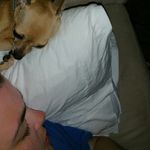 Profile Picture of Shelly Willingham (@kygirlinkc) on Instagram