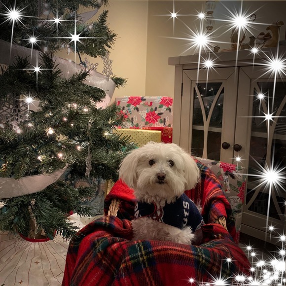 Profile Picture of Katie Huesers (@katehuesers) on Poshmark