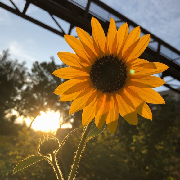 Profile Picture of Lucy Brusoe (@lucybrusoe) on Poshmark