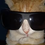 Profile Picture of Kennedy Alvarez (@kennedy.alvarez.741228) on Facebook