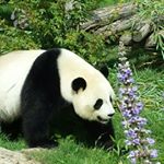 Profile Picture of Delubac Andre (@dadoudaron) on Instagram