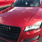 Profile Picture of Gavin Lorenzo (@gavin_lorenzo_71423) on Instagram