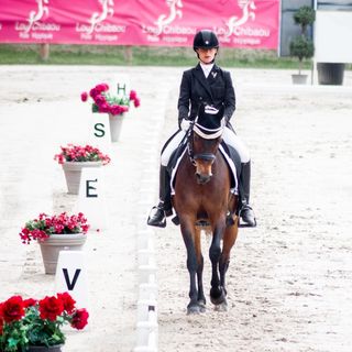 Profile Picture of Sarah Blanchard (@sarahblancharddressage) on Instagram