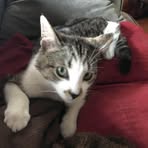 Profile Picture of Janet Britt Pennock (@janet.pennock) on Facebook