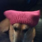 John Borromeo - Instagram Profile Picture of John Borromeo (@borromeo.john) on Instagram