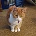 Profile Picture of Jackie Hanshaw (@Jackie-Hanshaw) on Facebook