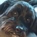 Profile Picture of Sam Purvis (@sam.purvis.391) on Facebook