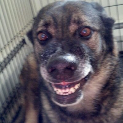 Profile Picture of Jay Lesko (@jdawg6501) on Twitter