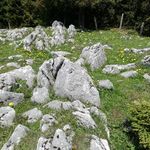 Profile Picture of Andrea Lucaci (@andrea.lucaci.9) on Instagram