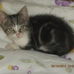 Profile Picture of Roberto Lachance (@maman.dieu150) on Facebook