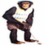 Profile Picture of Robert Robertson (@rarob) on Flickr