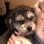 Profile Picture of Guy Archambault (@garchambault93_gmail) on Instagram