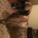 Jake Sturman - Instagram Profile Picture of Jake Sturman (@jake_sturman_24) on Instagram