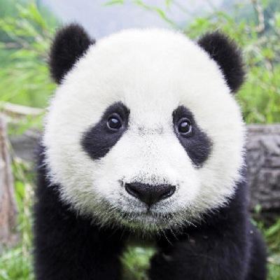 Profile Picture of John Jasinski (@johnjasinski57) on Twitter