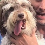 Profile Picture of David Angevine (@david.angevine.5) on Instagram