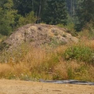 Sean Blackburn - Tiktok Profile Picture of Sean Blackburn (@@seanblackburn) on Tiktok