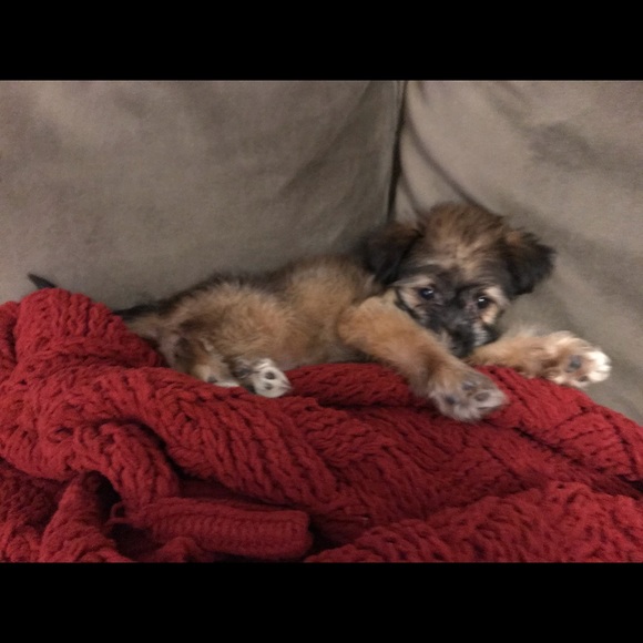 Profile Picture of Kim Berardi (@kimpsycho) on Poshmark