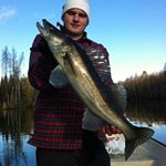 Profile Picture of Thomas Stumpf (@thomasstu) on Instagram