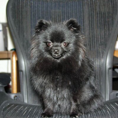 Profile Picture of Jim Fontaine (@jakeinnh) on Twitter