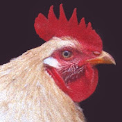 Profile Picture of David Rosen (@davidrosen4921) on Youtube