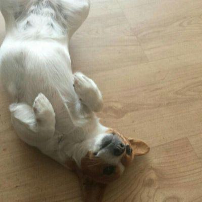 Profile Picture of Philip Malone (@philipmalone201) on Twitter