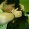 Profile Picture of Tyler Vanderbilt (@tyler.vanderbilt.71) on Facebook