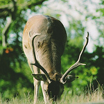 Annmarie Batey - Flickr Profile Picture of Annmarie Batey (@bateyannmarie) on Flickr