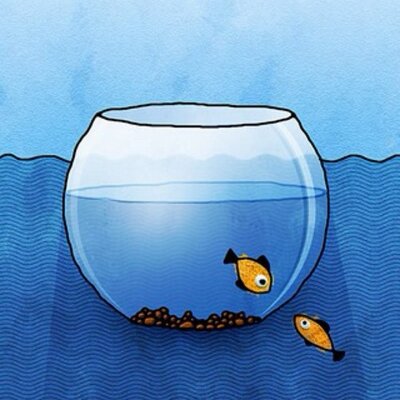 Profile Picture of Temple Carson (@temple_carson) on Twitter