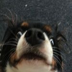 Profile Picture of Alicia (@aliciacolella737) on Instagram