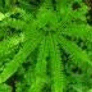 Profile Picture of Joel Devore (@137133283) on Myspace