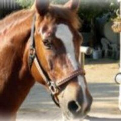 Profile Picture of George Durkop (@DurkopGeorge) on Twitter