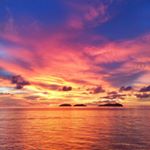 Profile Picture of Amy Scholes (@amyscholes987) on Instagram