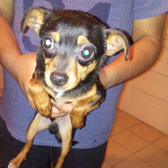 Susan Cocchiano - Poshmark Profile Picture of Susan Cocchiano (@susan_sp) on Poshmark