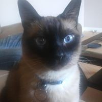 Profile Picture of Janet Blackburn (@janet-blackburn-5) on Quora