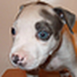 Profile Picture of Ria James (@ria james) on Flickr