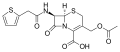 Profile Picture of Cefalotinon Wikipedia