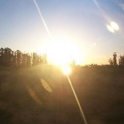 Profile Picture of Pedro Ariel Abraham (@@AbrahamAriel) on Twitter