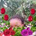 Profile Picture of Nanman Joel (@nanman.joel.98) on Facebook