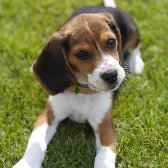 Profile Picture of Michelle Martens (@michmarte) on Poshmark