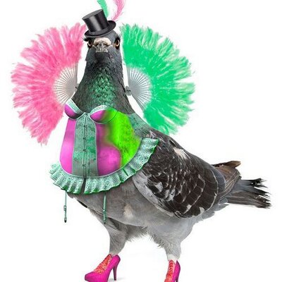 Profile Picture of Camden Fringe (@CamdenDavis2) on Twitter