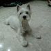 Profile Picture of Perri Goh (@wmxpg) on Pinterest
