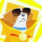 Profile Picture of Jimmy Vargas (@jv_pet) on Instagram